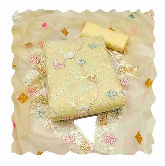 Womens Organza silk muilty work Saree