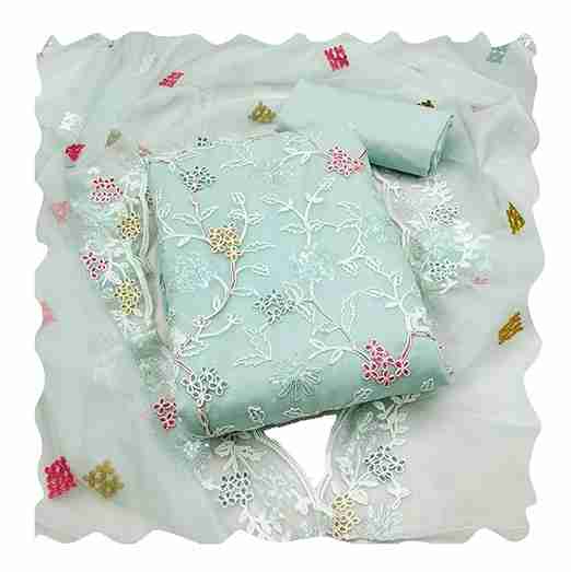 Womens Organza silk muilty work Saree