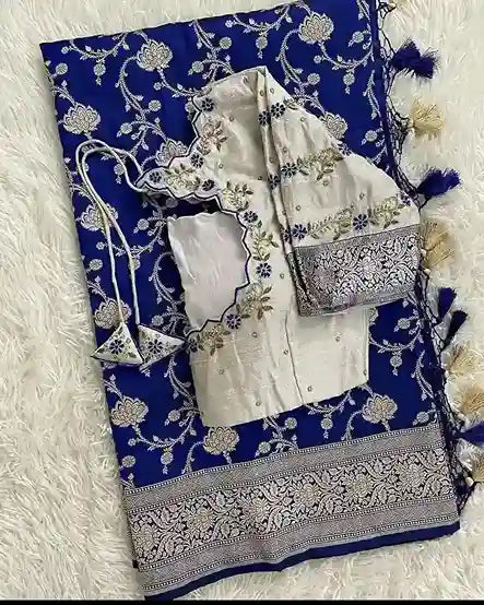 beautifully designed saree