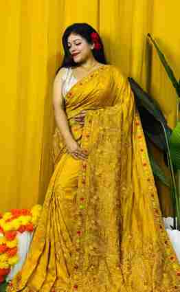 Kashmiri Silk Saree with Stone Work