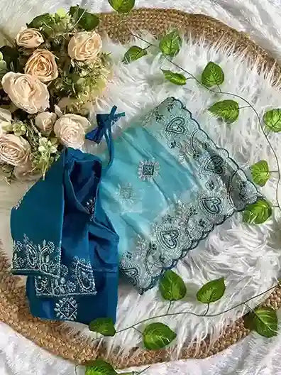 Embroidered Bollywood Net Saree